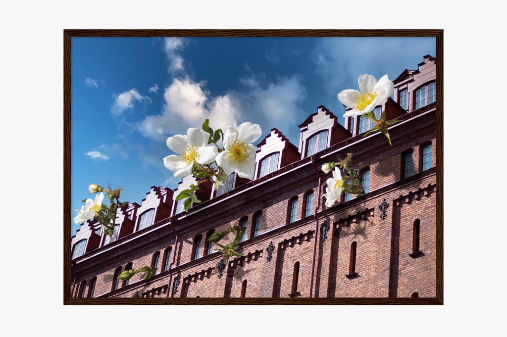 14. THE ROOF