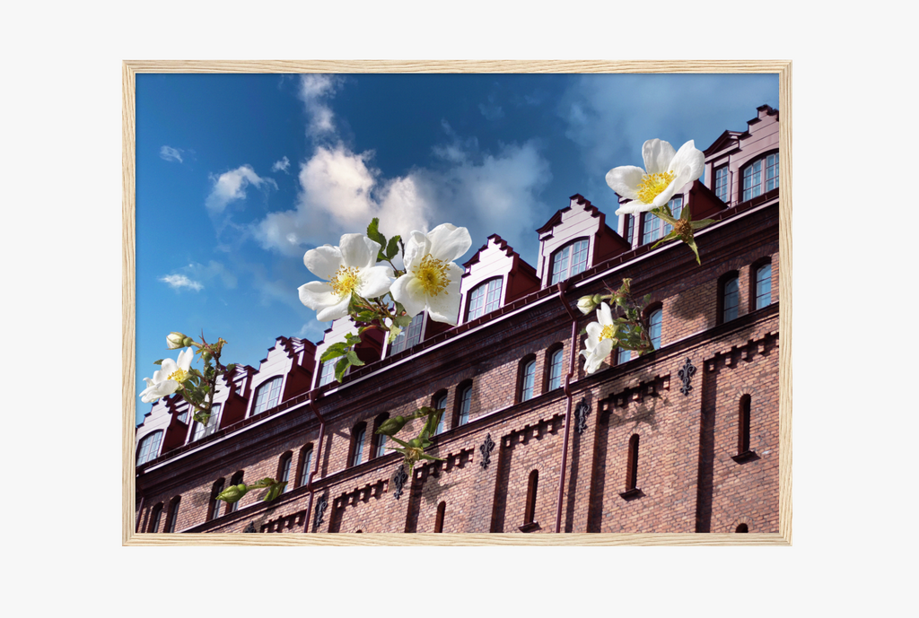 14. THE ROOF